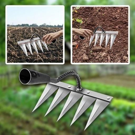 Teeth Weeding Tool