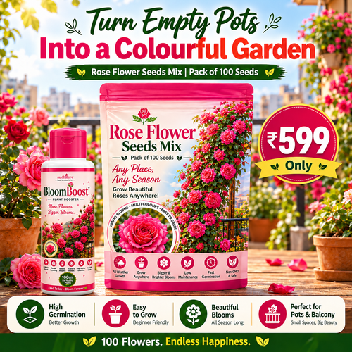 Elegant Climbing Rose Flower Seeds With Plant Booster