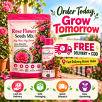 Elegant Climbing Rose Flower Seeds With Plant Booster