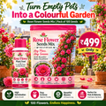 Elegant Climbing Rose Flower Seeds With Plant Booster
