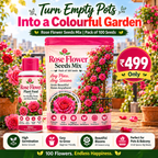 Elegant Climbing Rose Flower Seeds With Plant Booster