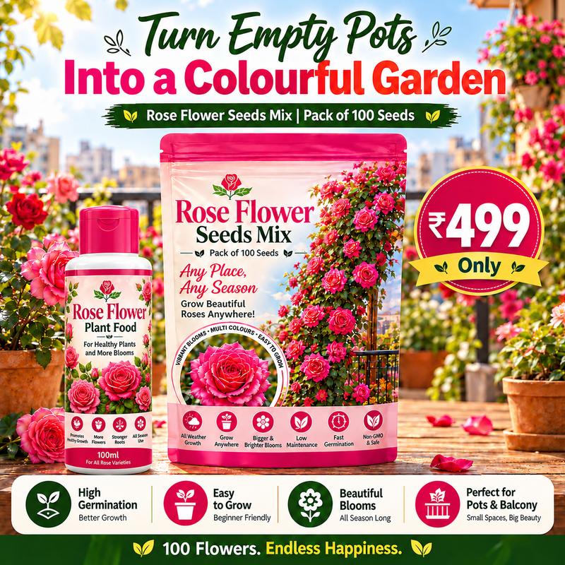 Elegant Climbing Rose Flower Seeds With Plant Booster
