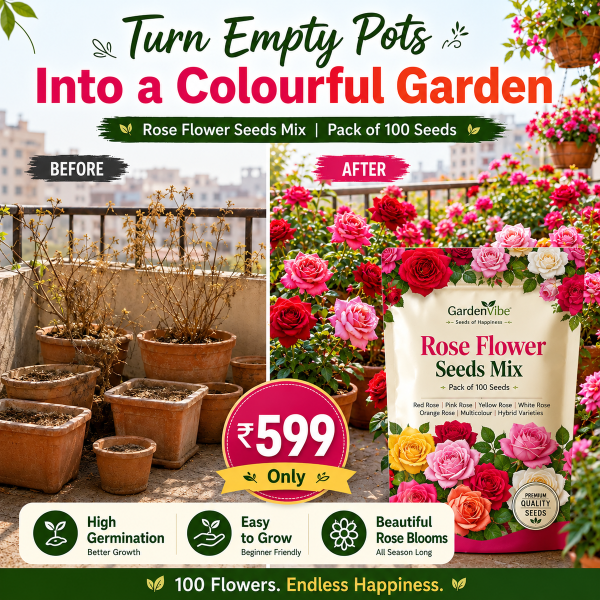 Elegant Climbing Rose Flower Seeds With Plant Booster