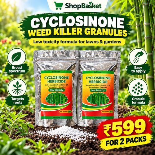 Cyclosinone Herbicide Granular Grass Killer (Pack of 2)